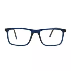 Berkeley naočare za kompjuter BB H6520 C4 52