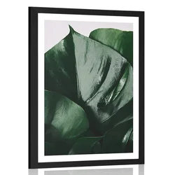Plakat s paspartujem list monstere - 30x45 white