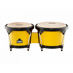 Bongo 17Y-BK Nino