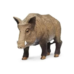 Safari Divji prašič