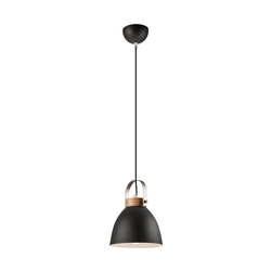 Luster na sajli DANIELLE 1xE27/60W/230V