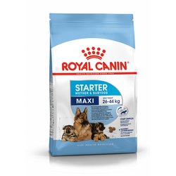 Royal Canin Maxi Starter Mother&Babydog 15 kg