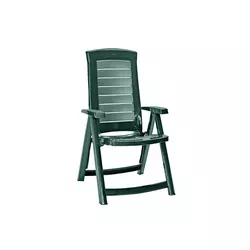 Stolica Aruba, tamno zelena