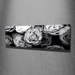 Opviq Slika na platnu 30x80cm
