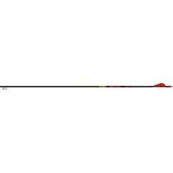 Cevke GOLD TIP Carbon Hunting Hunter 12/1