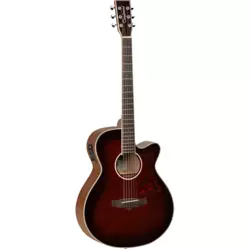 Tanglewood TW4 WB Winterleaf elektro-akustična gitara