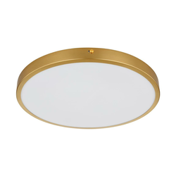 Globo 12381-22 - LED stropno svetlo TIBEY LED/22W/230V, prečnik 35 cm