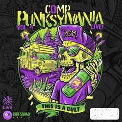 Various Artists - Camp Punksylvania Vol.4 Live (LP)