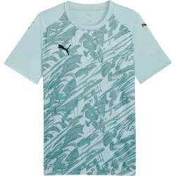 Puma Dres teamFINAL Graphic
