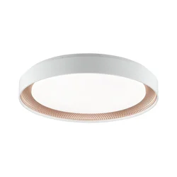 Brilliant - LED prigušiva stropno svetlo WALDO LED/36W/230V bela/roze zlato + DO
