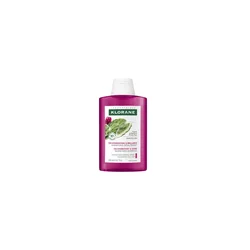 Klorane Indijska smokva šampon za kosu, 200 ml