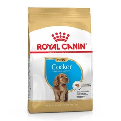 Royal Canin Cocker PUPPY 3kg – Hrana za štence koker španijela