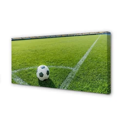 tulup.si Slika na platnu Nogometni stadion trava 120x60 cm