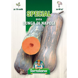 BUČA LUNGA DI NAPOLI