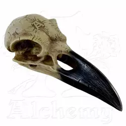 Dekoracija ALCHEMY GOTHIC - Corvus Alchemic - V16