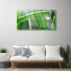 tulup.si Slika na akrilnem steklu Dew drop leaf grass 120x60 cm 2 obešalnika