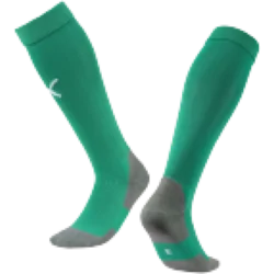 Puma Nogavice Team LIGA Socks