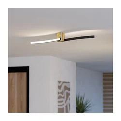 Eglo 901216 - LED plafonska svetiljka AIETA LED/12W/230V 4000K crna