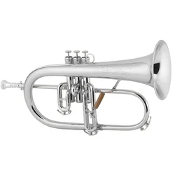 Krilovka 1FRSP Vintage one C.G. Conn
