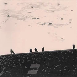 Stuart A. Staples - Arrhythmia (180 g) (LP)