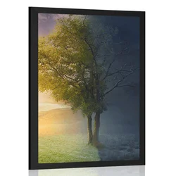 Plakat dan in noč - 60x90 no frame