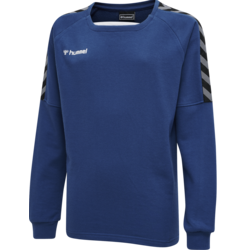 Mikica Hummel AUTHENTIC KIDS TRAINING SWEAT
