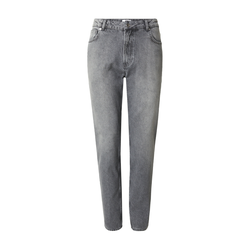 DAN FOX APPAREL Kavbojke Essential Leonhard siv denim