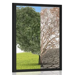 Plakat drevo v dveh podobah - 60x90 no frame