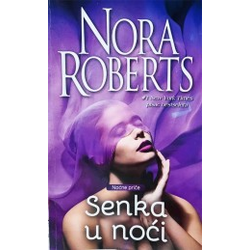Senka u noći