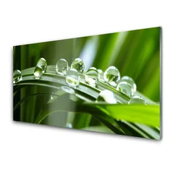 tulup.si Slika na steklu Rastlin trava dew drops 100x50 cm 4 obešalnika