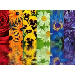 Ravensburger - Puzzle Cvetlični odsev - 500 kosov