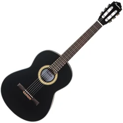 Pasadena PC-100 4/4 Black Klasična kitara (Kot novo)