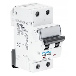 shumee Hyundai HGD - odklopnik 2P, 6KA, 6A, znak C