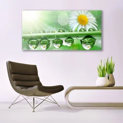 tulup.si Steklena slika Dew leaf narava daisies 140x70 cm 4 obešalnika