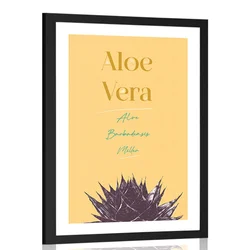 Plakat s paspartujem in stilskim napisom Aloe Vera - 60x90 white