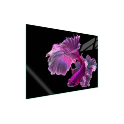 shumee Steklena zaščitna plošča za štedilnik 70x52 Fish