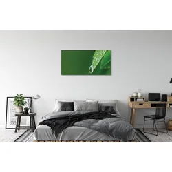 tulup.si Slika na platnu Vodni padec leaf 100x50 cm