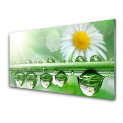 tulup.si Steklena slika Dew leaf narava daisies 120x60 cm 2 obešalnika