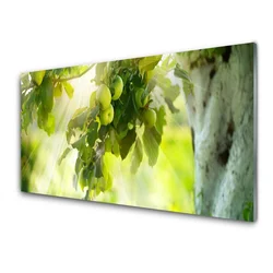 tulup.si Slika na akrilnem steklu Apple tree branch narava 140x70 cm 4 obešalnika