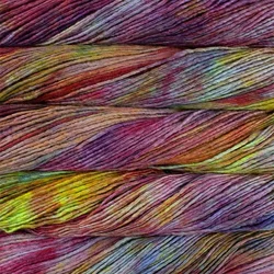 Malabrigo Worsted Camaleón Pletilna preja