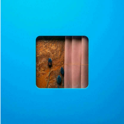 Modern Error Victim Of A Modern Age (2 LP)