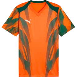 Puma Dres teamFINAL Graphic+