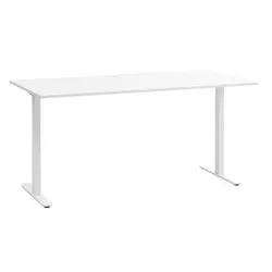 Radni sto STAUNING 80x160 bela