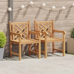 Vrtna stolica 2 pcs 60 x 58 x 90 cm Čvrsto teak drvo