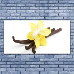 tulup.si Slika na steklu Vanilla rastlin narava 140x70 cm 2 obešalnika