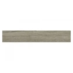 Asturia Grey 20,4x120,4