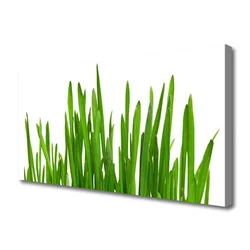 tulup.si Slika na platnu Grass on wall 120x60 cm