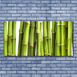 tulup.si Slika na steklu Bamboo rastlin narava 140x70 cm 2 obešalnika