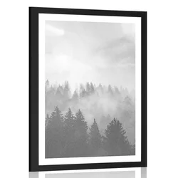 Plakat s paspartujem megla nad gozdom v črnobeli varianti - 20x30 silver