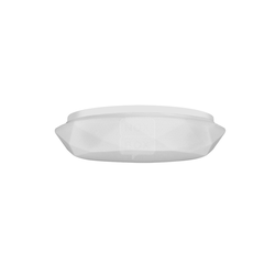 LED plafonsko svetlo za kupatilo GALAXY LED/17W/230V IP44